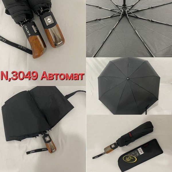 Парасольки, дощовики