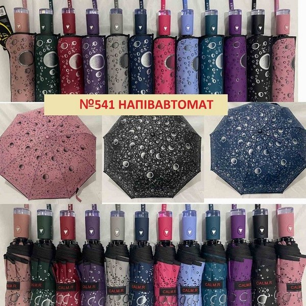 Парасольки, дощовики