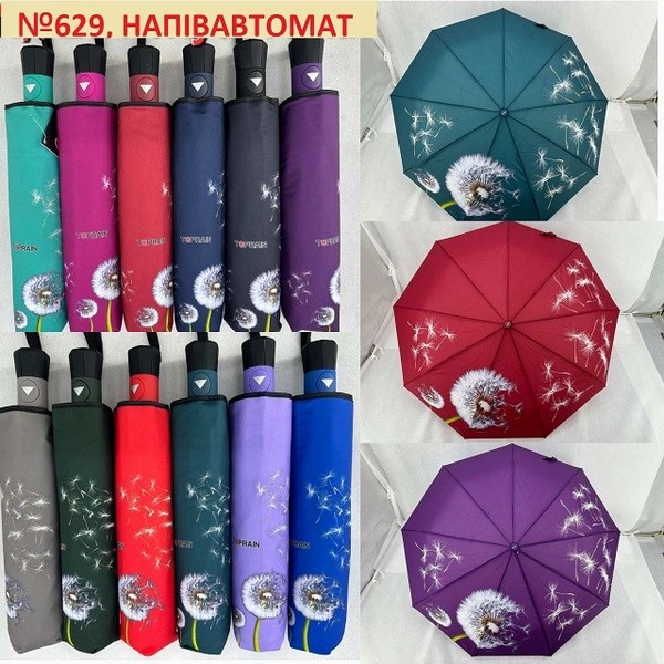 Парасольки, дощовики