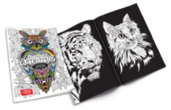 Креативна творчість "Розмальовки Антистрес" без фломастерів укр (80) RA-02-01U,02U (шт.)