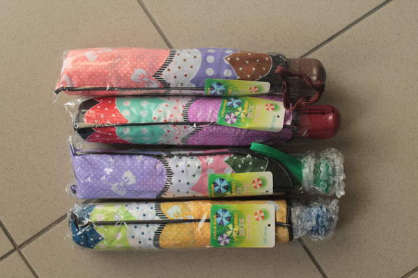 Парасолька 2017, жіноча,8спиць (круглий карбон), напівавтомат (шт.)