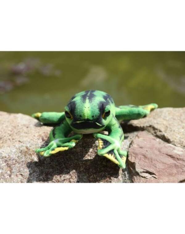 GW Жабеня, 22065 (7x24x27см) (шт.)