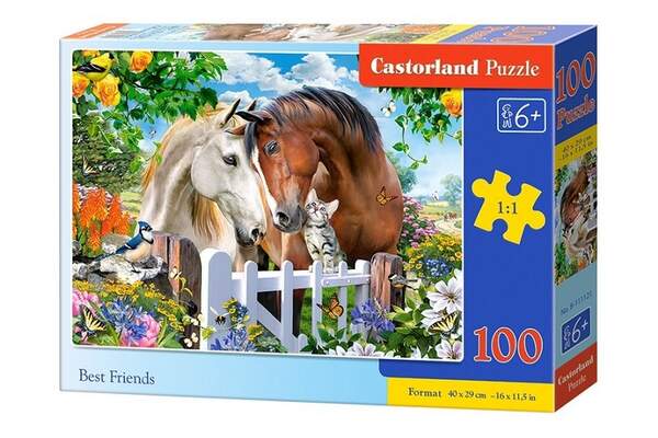 Пазл Castorland 100 B-111121 (шт.)