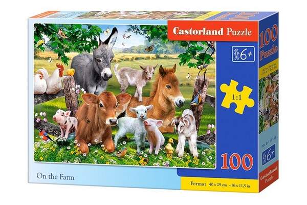 Пазл Castorland 100 B-111138 (шт.)