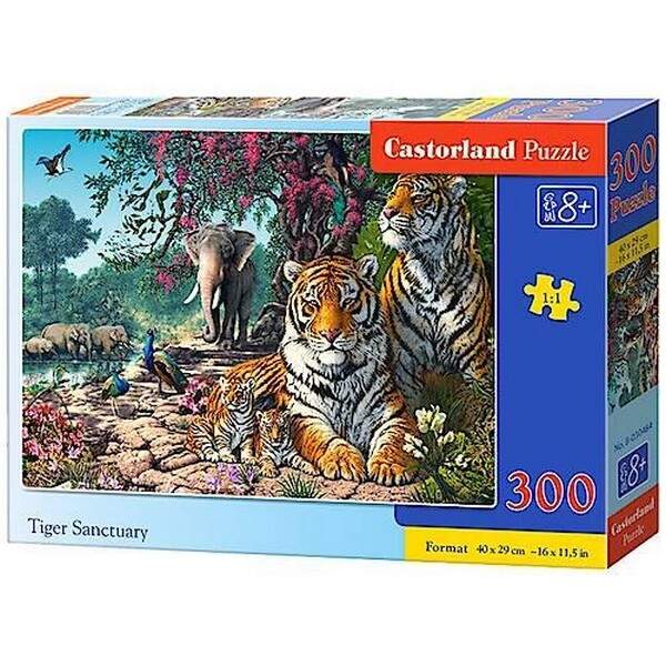 Пазл Castorland 300 B-030484 (шт.)