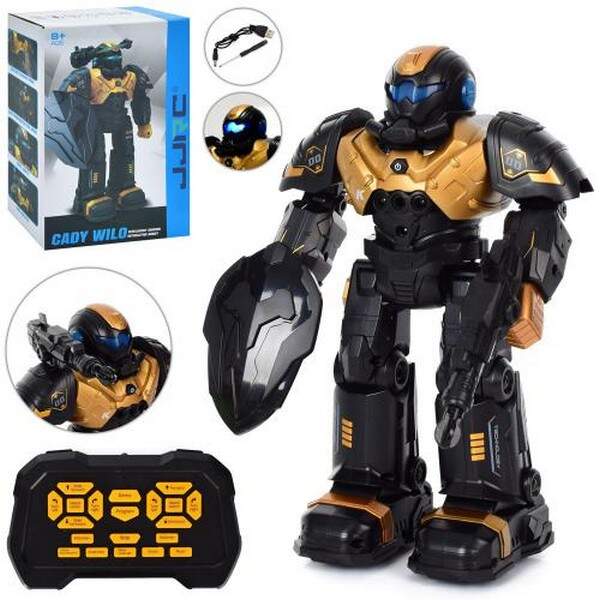 Робот R20 (6шт) д/в-ІК, 26см, ходить, танцює, звук (англ), світло, зброя, акум, USB зар, у кор-ці, 1 (шт.)