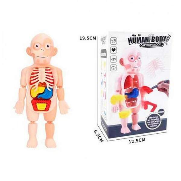 Набiр лiкаря HM986 (96шт) фігурка, 23,5см, частини тіла, пінцет, в кор-ці, 12,5-19,5-6,5см (шт.)