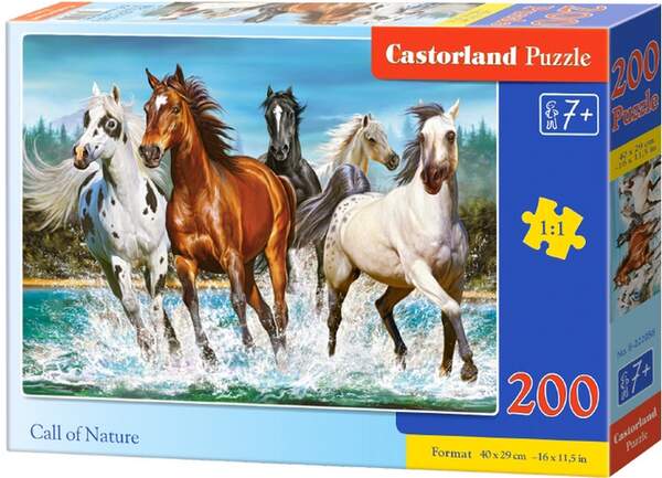 Пазл Castorland 200 B-222056 (шт.)
