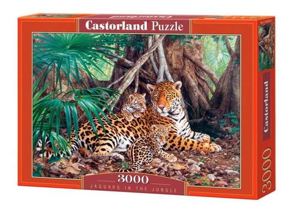 Пазл Castorland 3000 C-300280 (шт.)