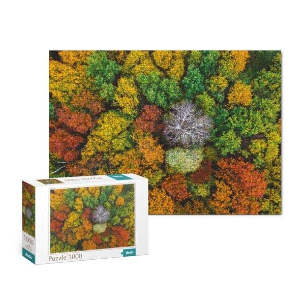 301178 Пазл «Село Дземброня. Україна» 301178 (шт.)