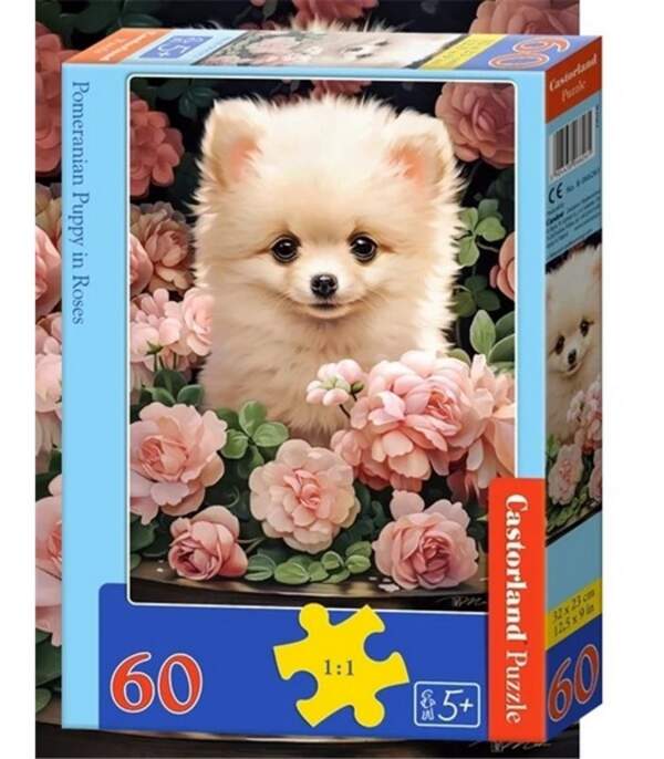 Пазл Castorland 60 B-066261 (шт.)