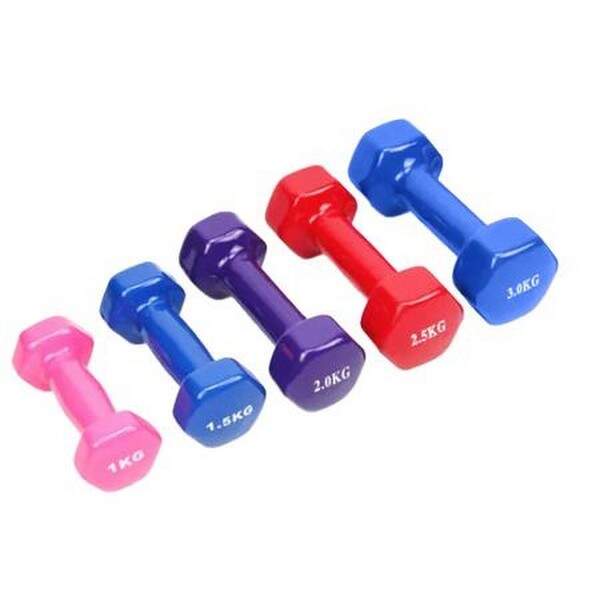 Гантель 0.5кг DB-0006 3кол.кул./40/ (шт.)