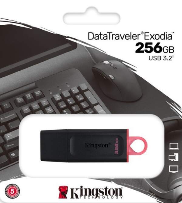 flash Kingston USB 3.2 DT Exodia  256GB  Black/Pink /25/ (шт.)
