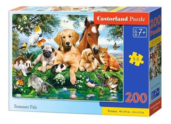 Пазл Castorland 200 B-222063 (шт)