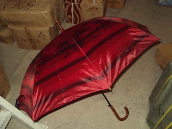 Парасолька тростина 301 (шт.)