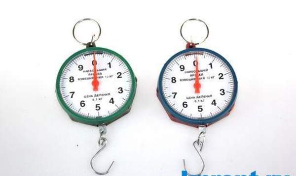 Кантер круглий зелений 10кг (300) (шт.)